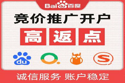行业领先SEM托管代运营案例